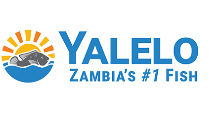 yelelo-logo-333